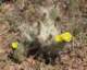 imgp0906_small.jpg