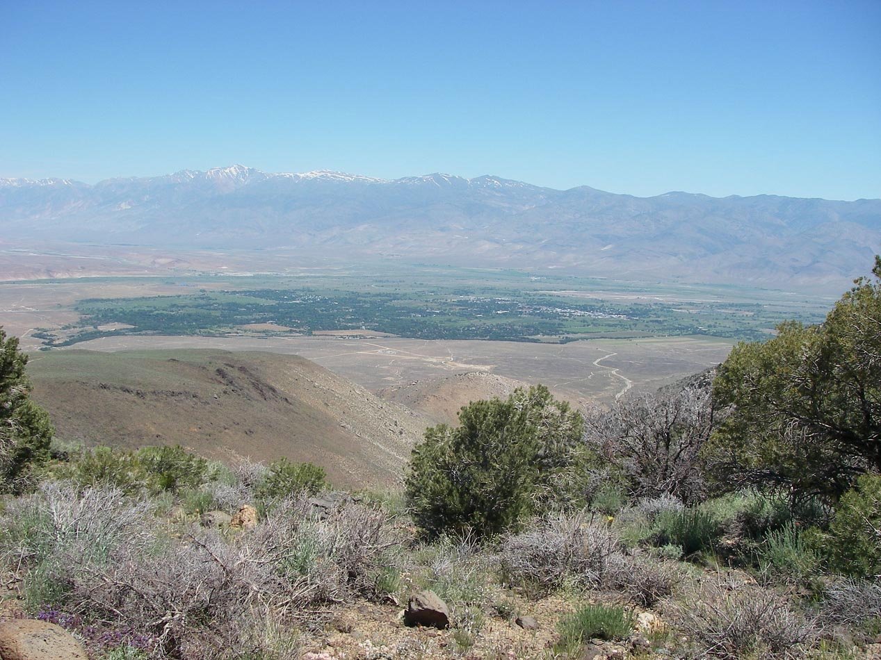 imgp0908.jpg