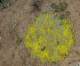 imgp0926_small.jpg