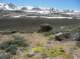 imgp0927_small.jpg