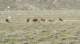 imgp0937_small.jpg