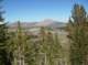 imgp0962_small.jpg