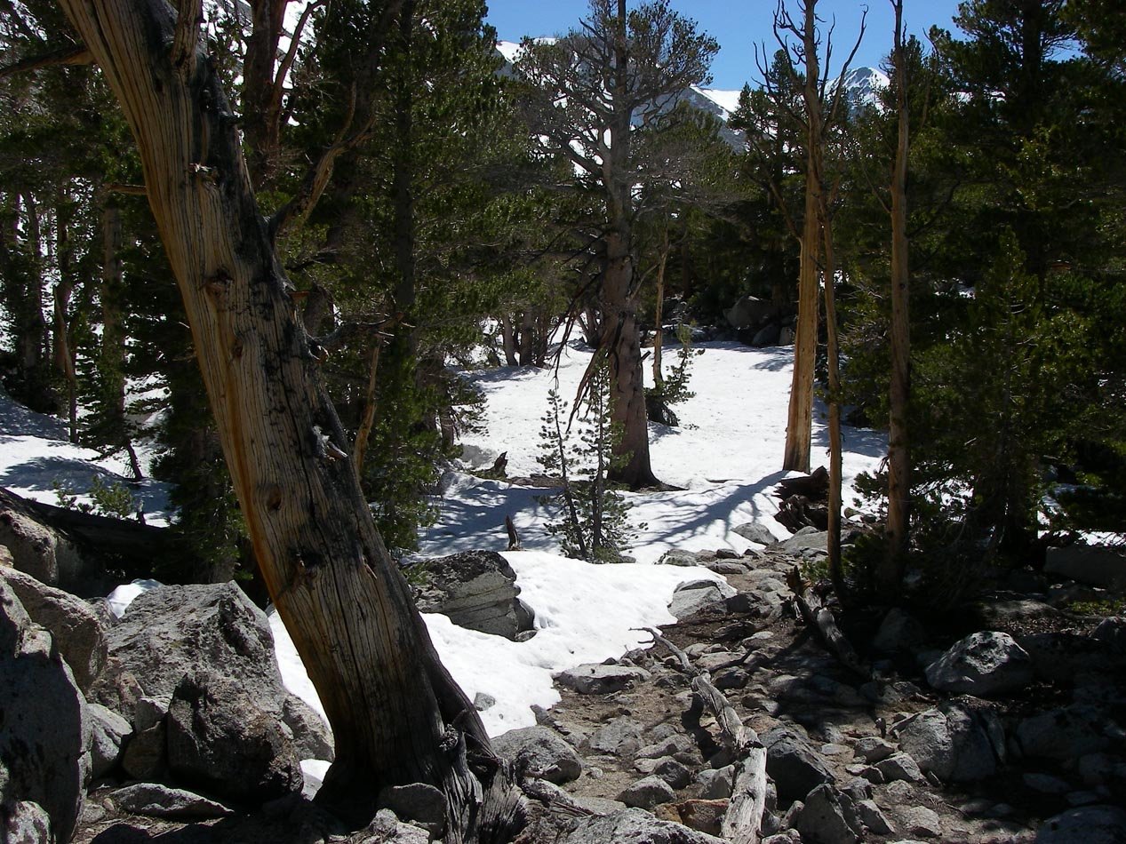imgp0963.jpg