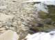 imgp0966_small.jpg