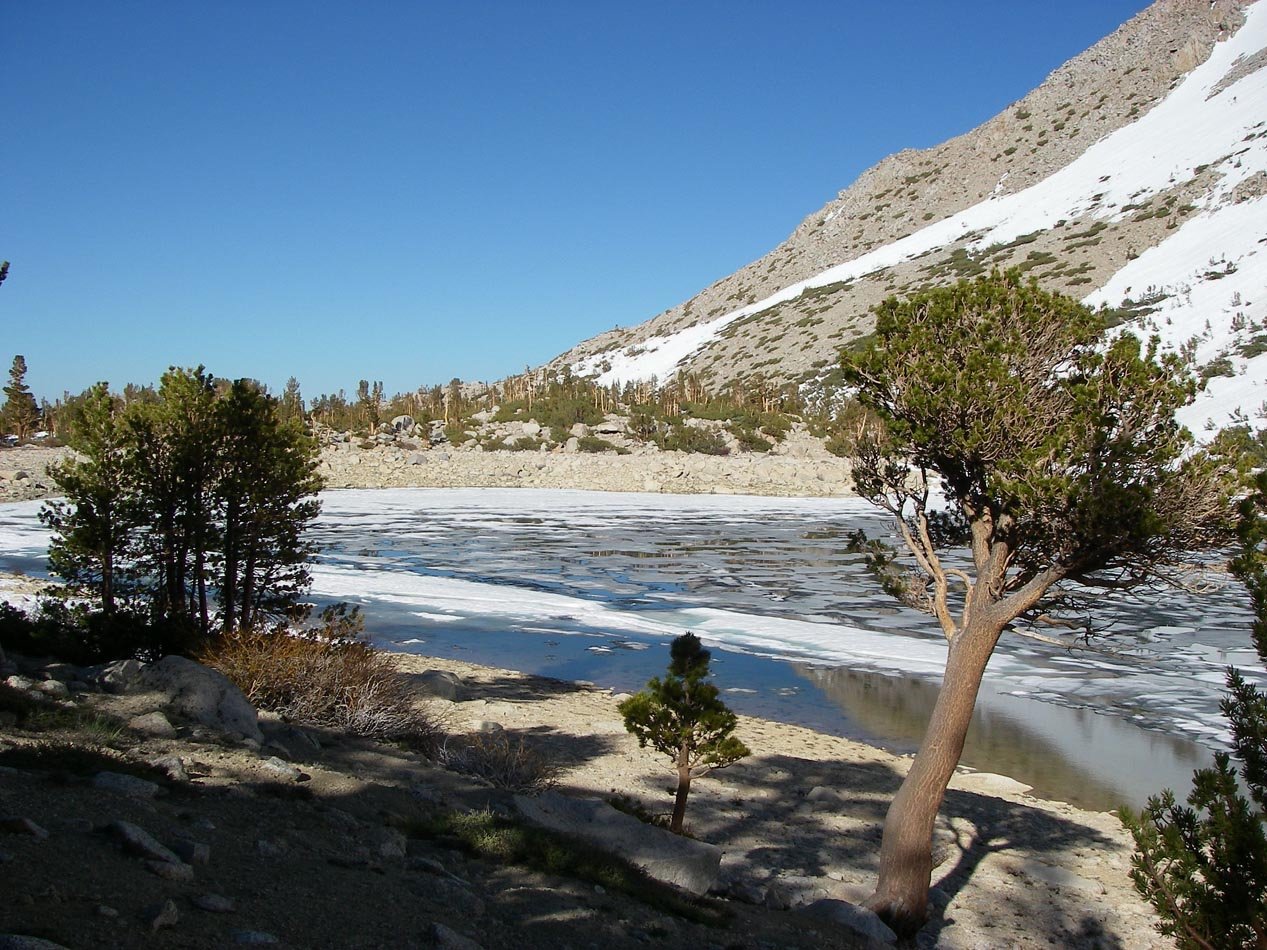 imgp0972.jpg