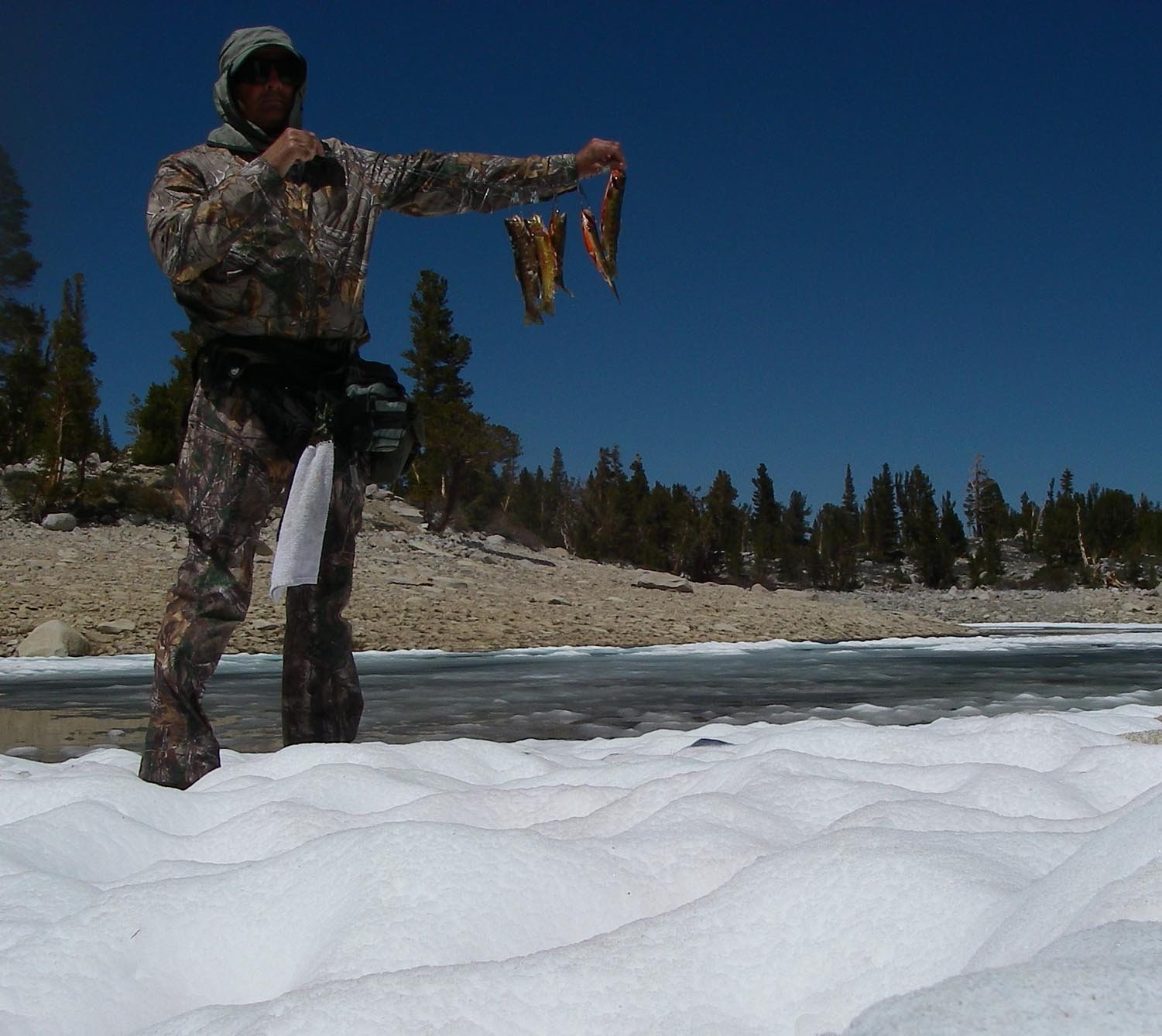 Daily limit of 5 from Secret Golden Trout Lake in the High Sierra 6/7/2017