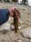 imgp0990_small.jpg
