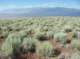 imgp1008_small.jpg