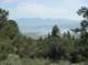 imgp1054_small.jpg