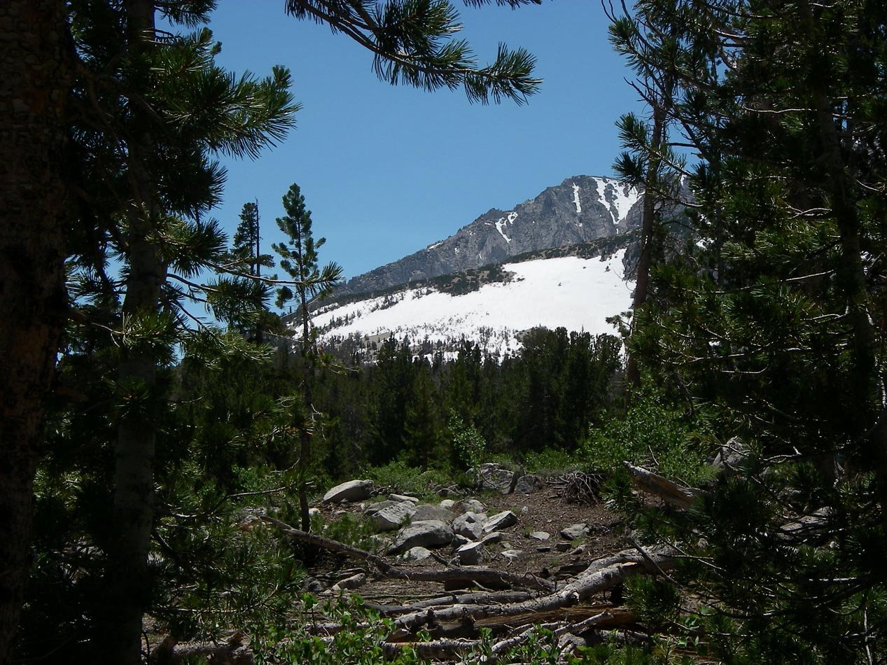 imgp1062.jpg
