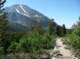 imgp1066_small.jpg