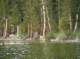 imgp1080_small.jpg