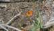imgp1083_small.jpg