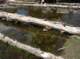 imgp1091_small.jpg