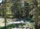 imgp1093_small.jpg