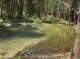 imgp1100_small.jpg