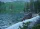 Mike Dufish casting a Rapala J-13 all night at Secred Brown Trout Lake 7/18/2017 