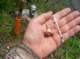 imgp1103_small.jpg