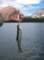 imgp1106_small.jpg