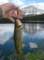 imgp1112_small.jpg