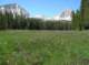 imgp1123_small.jpg