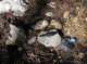 imgp1137_small.jpg