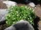 imgp1138_small.jpg