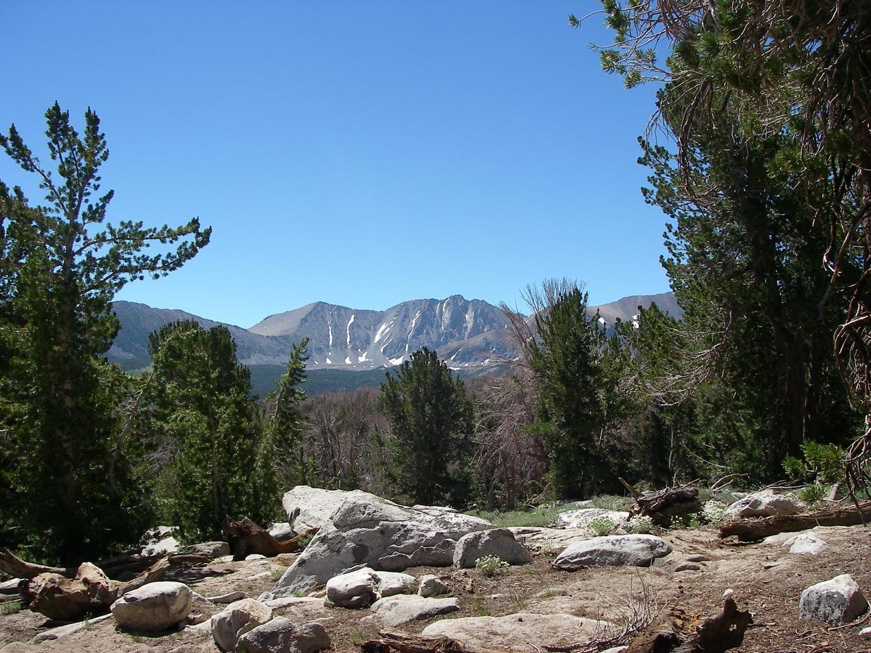 imgp1139.jpg