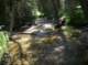 imgp1145_small.jpg