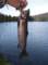 imgp1159_small.jpg