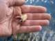 imgp1165_small.jpg