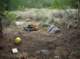 imgp1167_small.jpg