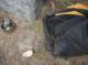 imgp1168_small.jpg
