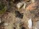 imgp1170_small.jpg