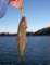 imgp1364_small.jpg