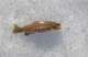 imgp1371_small.jpg