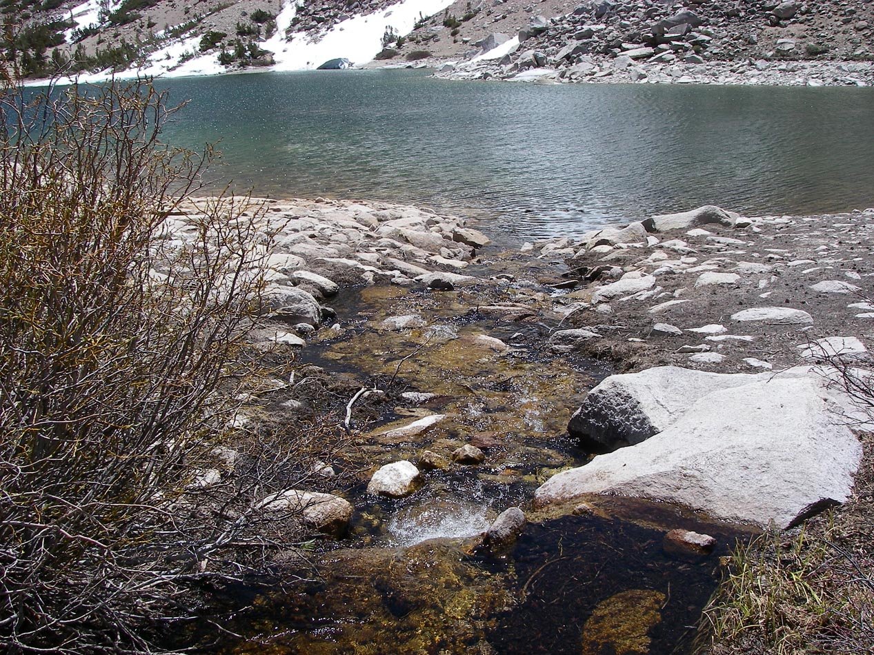 imgp1372.jpg