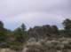 imgp1525_small.jpg
