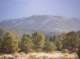 imgp1527_small.jpg