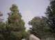 imgp1549_small.jpg