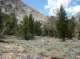 imgp1557_small.jpg