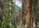 imgp1560_small.jpg