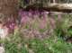 imgp1564_small.jpg