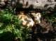 imgp1586_small.jpg