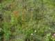 imgp1587_small.jpg
