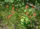 imgp1588_small.jpg