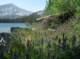 imgp1589_small.jpg