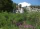 imgp1595_small.jpg