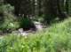 imgp1600_small.jpg