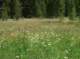imgp1602_small.jpg